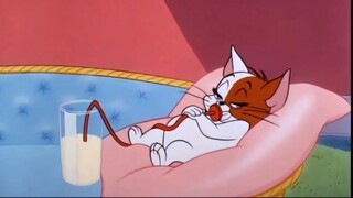 Tom và Jerry chú chuột không bị thu nhỏ Jerry