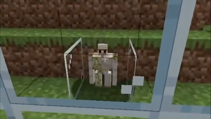 Minecraft: Sanctioning Iron Golem