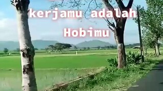 kata motivasi