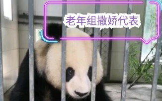 เวลาที่นายน่าเกาตั้งใจอ้อน พูดจาเสียงอ่อนหวานยิ่งกว่าหลานชายวัยสามขวบที่ไม่ค่อยพอใจซะอีก