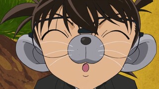 Đây có thể là lý do tại sao Conan đã nhiều năm như vậy vẫn chưa chịu đổi lại thành Shinichi...