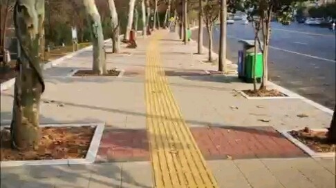 happy猫帮助小香蕉猫找到它的家人