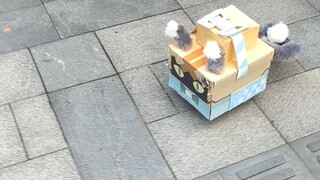Miyosummer's outfield cat car! It moves and is super cute!