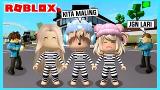 Aku Dan Adiku Terpaksa Harus Menjadi Perampok Di Roblox Brookhaven ft @Shasyaalala