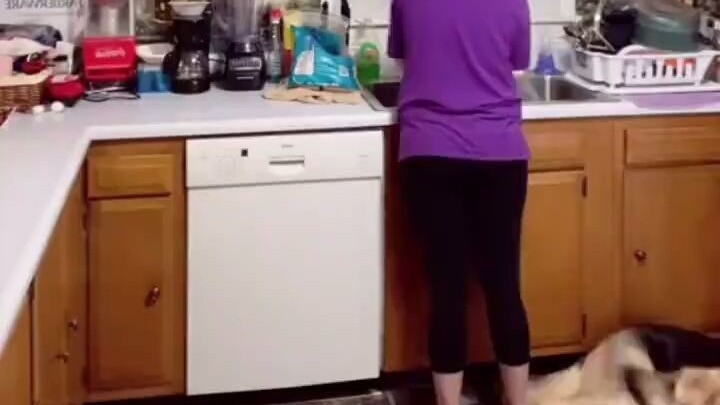 14岁老猫临走前跟小主人做最后的告别。在小女孩的怀里和歌声中回了喵星球......😭