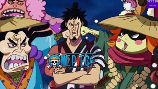 海贼王专题#643: 草帽团新船员第2弹锦卫门