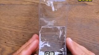 الرئيسة التنفيذية