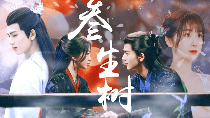 “这一次，仙君终于紧紧握住了心上人的手”【长生花x衫羽欲来】前世今生｜台词向