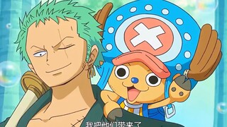 Zoro and Chopper's daily life