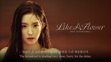 241126 IRENE 아이린 'Like A Flower' Countdown Live [WEB-DL]