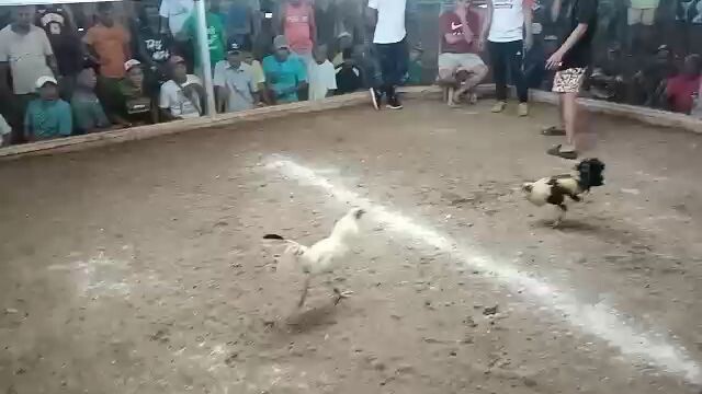 win