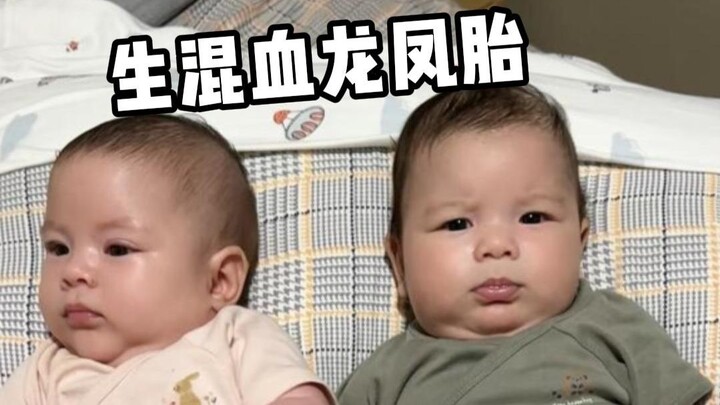 Let’s tally up how many ten thousand yuan the mixed-race dragon-and-phoenix twins have cost this yea