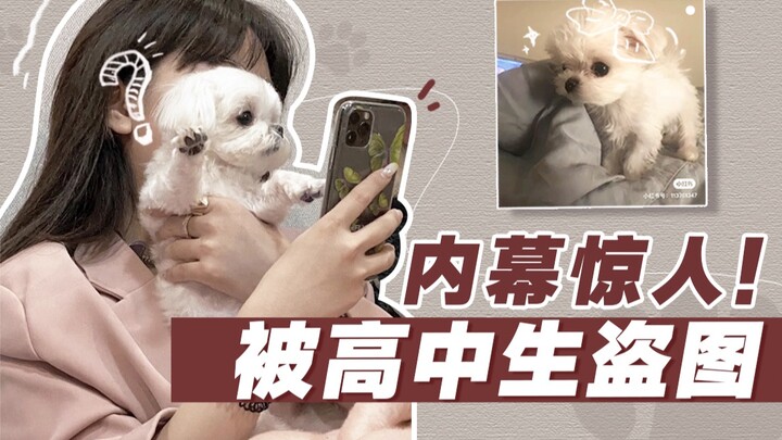 Gambar Dicuri oleh Siswa SMA | Aktris Berusia 16 Tahun Benar-Benar Layak Mendapat Gelar Ini