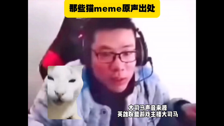 那些猫meme原声出处
