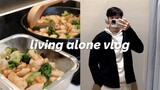 An active day in my life | meal prep, shopping, watching world cup | Living Alone Vlog