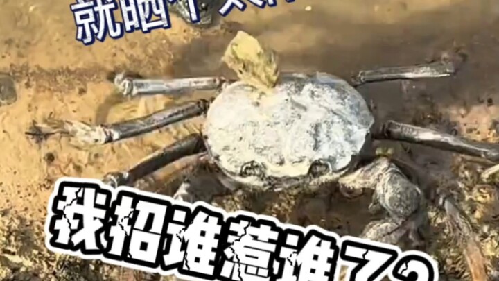 He said he was sorry—just say it’s okay!