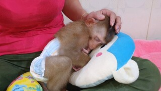 Adorable Baby Lion Sleepy After Mom Wearing Diaper