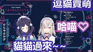 [Rainbow Club Chinese subtitles] The little idol Aiwa who plays cute and teases cats [Kenya Hana/Aiw