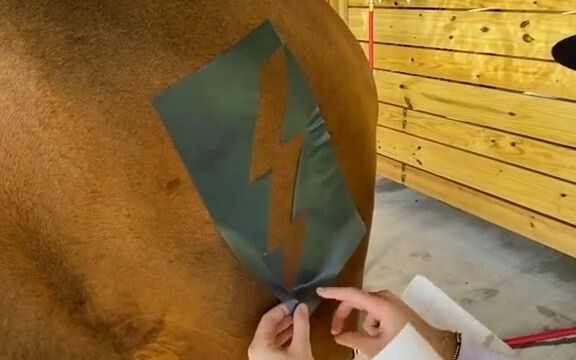 【ม้า】สักลายให้ม้า! สายฟ้าสีเหลือง!!!