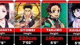 Who is the Tallest | Heights of Demon Slayer Characters [Kimetsu no Yaiba]