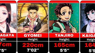 Who is the Tallest | Heights of Demon Slayer Characters [Kimetsu no Yaiba]