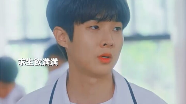 Who hasn’t shipped the love between cats and dogs yet?