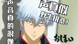 【银魂声真似】16岁高中生高还原银时声线！3年z组银八先生 动画化决定！