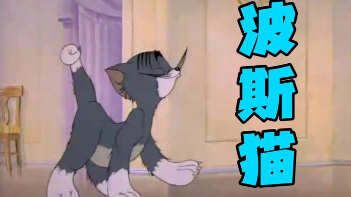 波斯猫眯着它的双眼