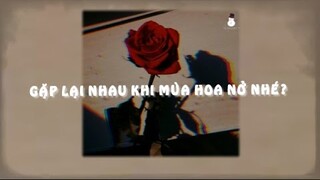 gặp lại nhau khi mùa hoa nở nhé? - Nguyên Hà 「Lo-Fi Ver.」