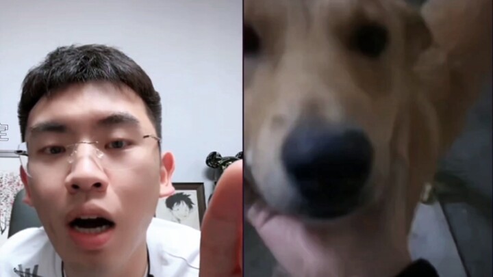 ช่างเหมือนพี่น้องแท้ๆ ของเจ้าหมาจริงๆ เลย หน้าตาคล้ายกันยังพอว่า ยังใส่ใจพี่น้องตัวเองสุดๆ รักแท้จริ