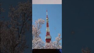 Tokyo tower in anime! #otaku #anime #animefan #animegirl #cosplay #manga #animeamv #animeart