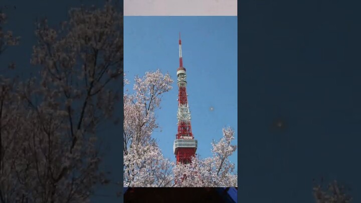 Tokyo tower in anime! #otaku #anime #animefan #animegirl #cosplay #manga #animeamv #animeart