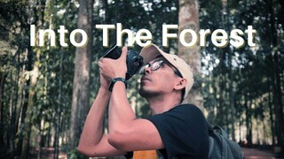 Into the Forest | Canon M50 & EF-M 22mm f2 Cinematic Video