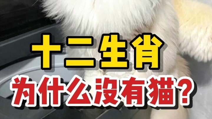 เข้าใจแล้วว่าทำไมสิบสองนักษัตรถึงไม่มีแมว! ไม่ได้แปลกประหลาดเลย!