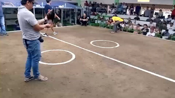 3rd fight