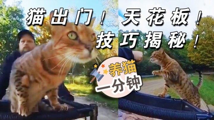 Hãy ghi nhớ “ngôn ngữ mèo” này, mèo sẽ không bao giờ quên bạn suốt đời...