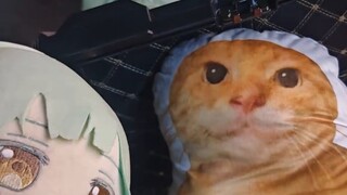 Mutou Store Visit | All the skewers are gone! The Solar doll is a living thing!