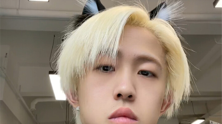 Could it be that Prince Ajin has no intention of transforming into a cat-eared butler?