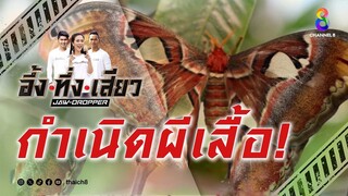 กำเนิดผีเสื้อ! | อึ้ง ทึ่ง เสียว