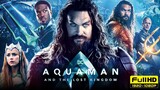 Aquaman and the Lost Kingdom  Blu-ray   FULL HD