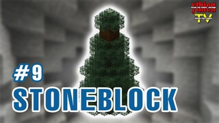 Stoneblock 09 - Vườn Cây Bí Mật