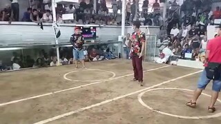 3 Sisters GF Random Fights