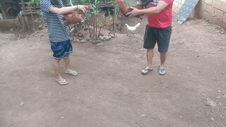 sparring binabae xs 1time winner in pasay