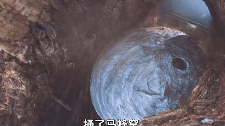 一口气看完爆笑喜剧《双宝斗恶魔》