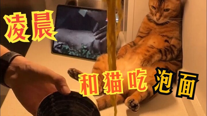 (Episode 4) Midnight Snack with My Cat!