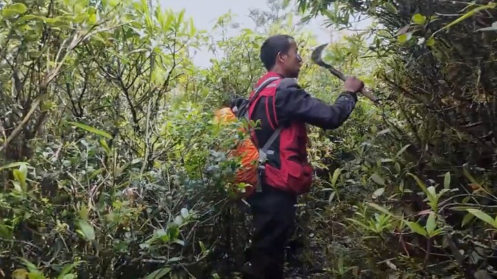 [First-person perspective] 14 kilometers of undeveloped road section in Ailao Mountain