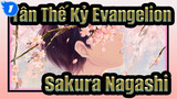 Tân Thế Kỷ Evangelion
Sakura Nagashi_1