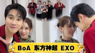 [BoA] هل هذه الأغنية مُصممة خصيصًا ليونهو؟ تحدي "سامحني" لـ TVXQ وEXO