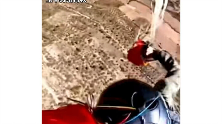 Adrenaline: This is the last time I’m saving you!