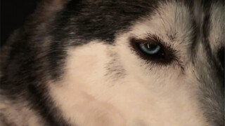 Seandainya bukan karena disuruh pakai rok, aku bahkan bisa menerimanya.